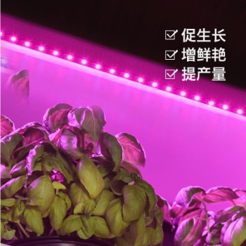 種植植物哪些情況使用植物補(bǔ)光燈？